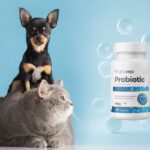 Projekty dla linii suplementów diety dla zwierząt przygotowane przez PharmaPack Design